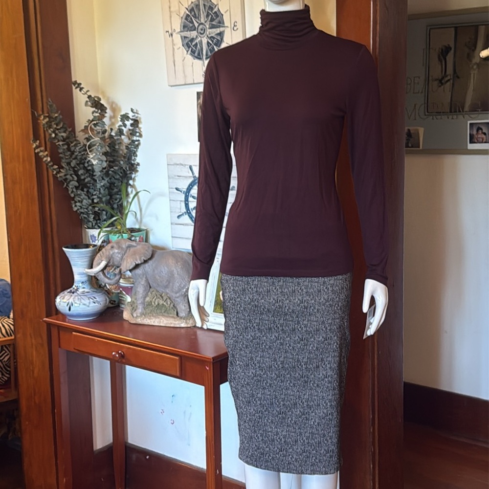 NWT Style&Co size small Burgundy Turtleneck Long Sleeve Top